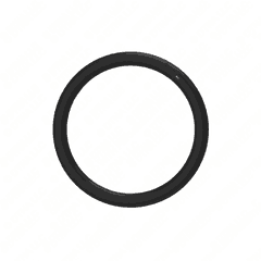 Seal Ring