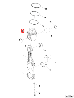 3630916 Image1