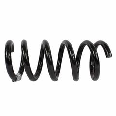 Coil Spring - Left, Rear