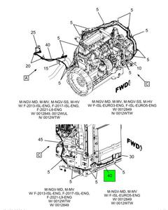 Figure 1CDM7