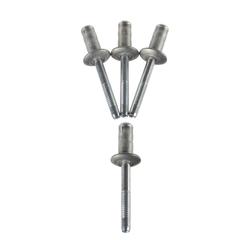 Rivet