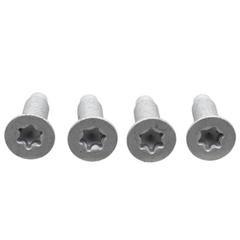 Door Check Bolt Special Screw - M6 X 16MM