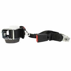 Seat Belt Lap and Shoulder Buckle - Rear