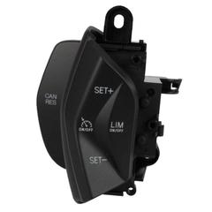 Cruise Control Switch - Left, Lower