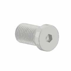 Screw Plug