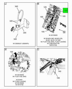 Figure 1LGN7