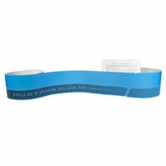 Trim Stripe Tape Decal - Left, Lower
