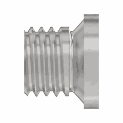Screw Plug