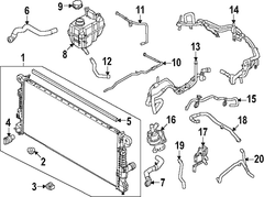 Engine Coolant Bypass Hose <br>Engine - 2.3L (7-MT)