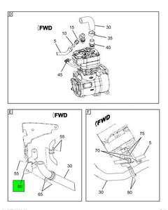 Figure 1F1MD