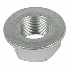 Hex Head Nut