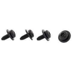 Screw and Washer