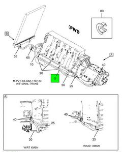 Figure 1BRYG
