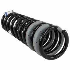 Coil Spring - Rear