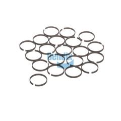 Sealing Ring