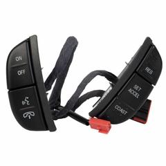 Cruise Control Switch