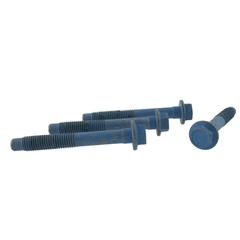 Rack and Pinion Bolt
