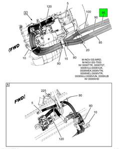 Figure 18C5Q