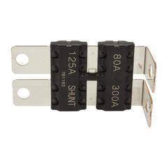 Circuit Breaker - 125A, 300A, 80A (Fuses)