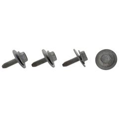 Screw and Washer