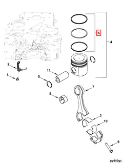 4955480 Image1