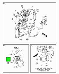 Figure 1CFNX