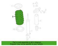 Coil Spring - Rear
