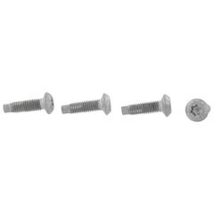 Door Check Bolt