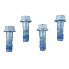Disc Brake Caliper Bracket Mounting Bolt - M16 X 49, Rear