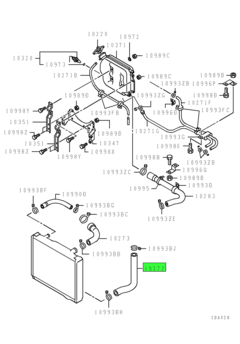 HOSE,RADIATOR,LWR 1