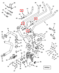 3637345 Image1