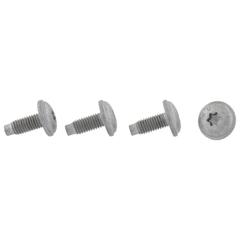 Door Lock Striker Plate Bolt - M8 X 17MM, Back