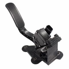 All Models Includes Accelerator Pedal - 4.6L