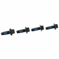 Door Check Bolt