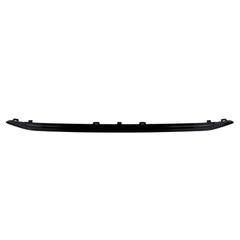 Grille Molding - Front