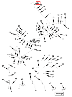 4006996 Image1