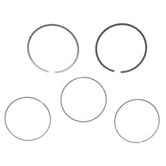 Engine Piston Ring Kit - 1.6L