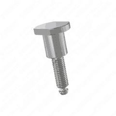 Master Cylinder Bolt