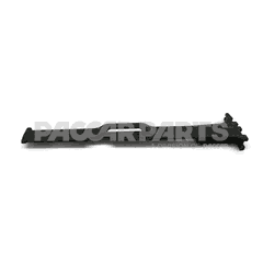 SILL ASSY-DOOR PANEL PAINTED LH