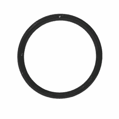 Seal Ring