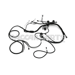 HARNESS-ENG ISX12-G CNG
