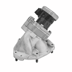 EGR Valve for OM906 EPA04