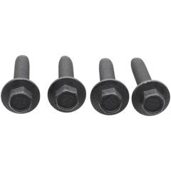 Support screw (All Long)