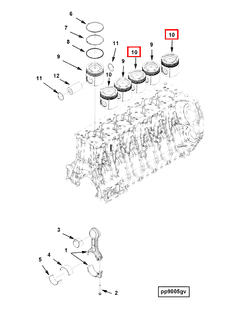 3697202 Image1