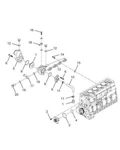 Figure MWM10532