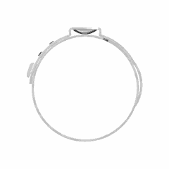 Hose Clamp