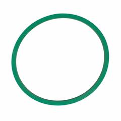 Fuel Pump Gasket (Lincoln LS)