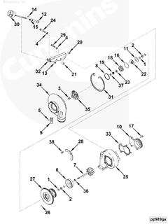 3802986 Image1