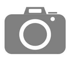 SWITCH-TOGGLE DPDT