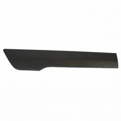 Body side Molding MOULDING Panel - Right, Front (WAGON)